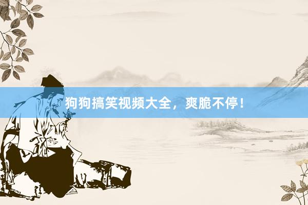 狗狗搞笑视频大全，爽脆不停！