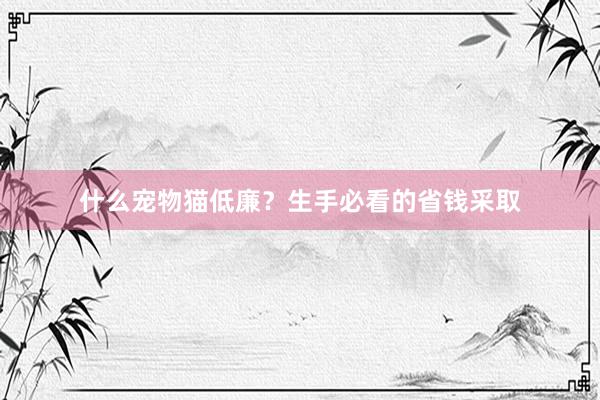 什么宠物猫低廉？生手必看的省钱采取