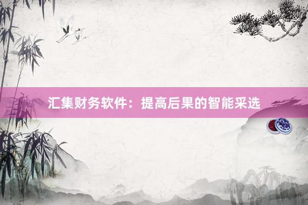 汇集财务软件：提高后果的智能采选